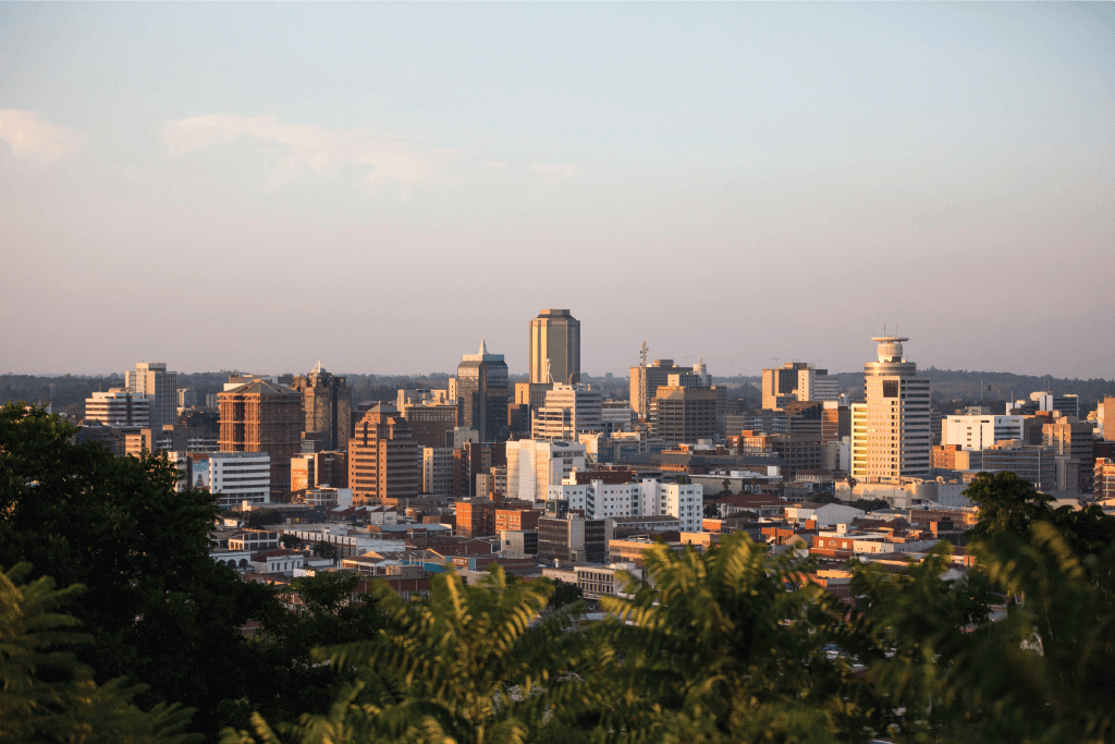 Realty Africa